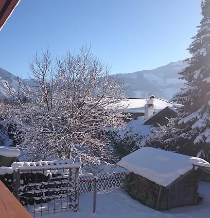 Chalet Yulia Zell am See Luaran gambar