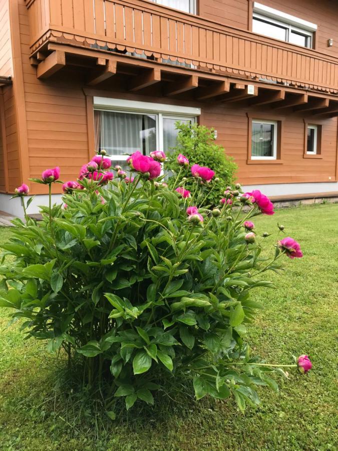 Chalet Yulia Zell am See Luaran gambar